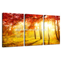 Autumn Forest Picture for Wall Decor/Sunset Scenery Photo Print on Canvas/Home Decor Natural Wall Art